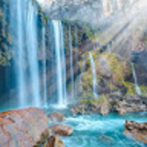 Meet your Posher, Kim - Picture 1 of 1